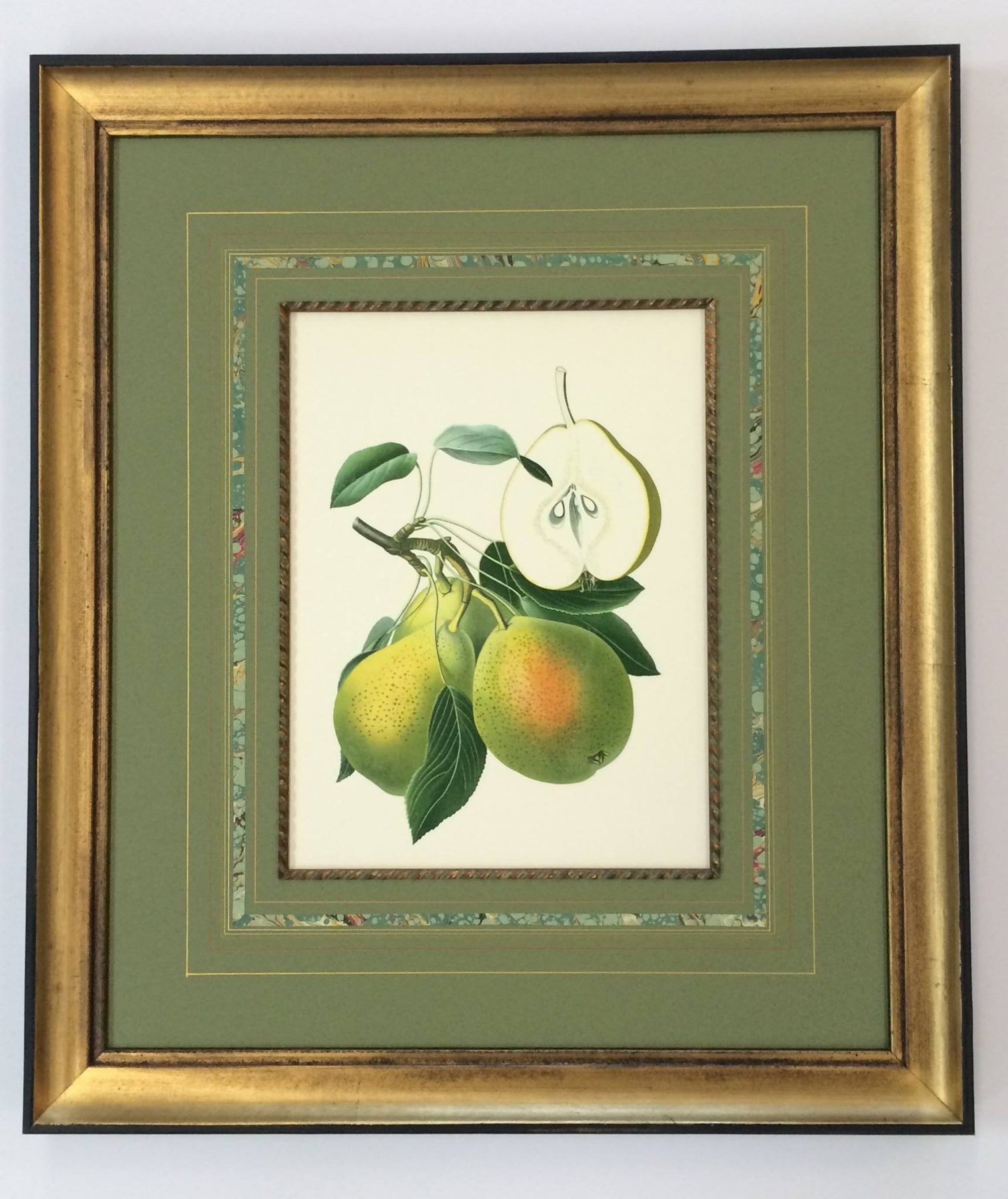 Pear botanical print, double green mat, gold frame